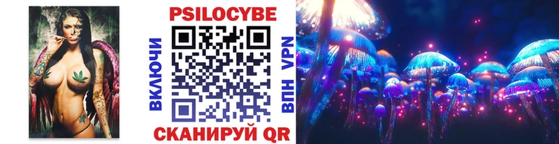 Купить  Александров  Галлюциногенные грибы прущие грибы 