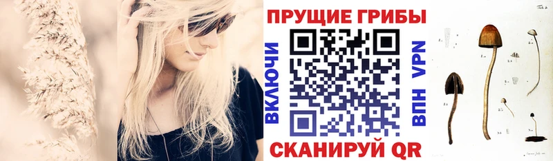 Псилоцибиновые грибы Psilocybine cubensis Александров